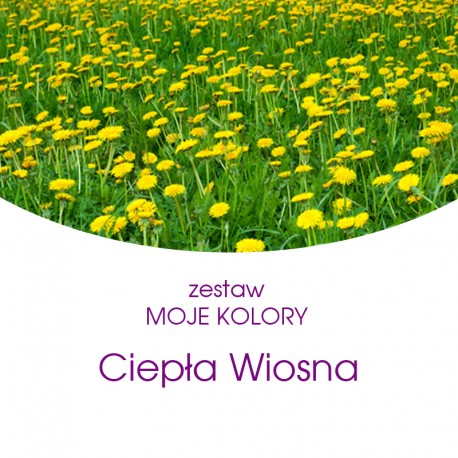 ZESTAW "MOJE KOLORY"