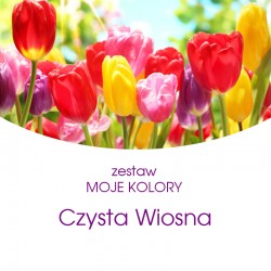 ZESTAW "MOJE KOLORY"