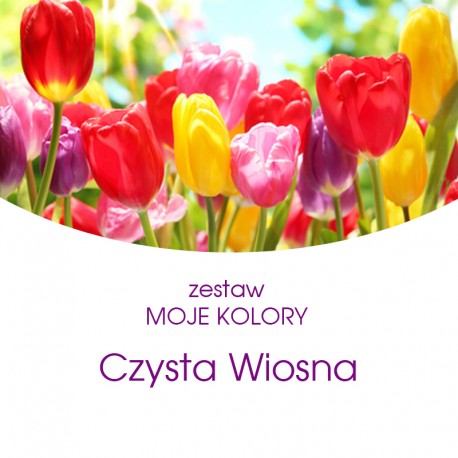 ZESTAW "MOJE KOLORY"