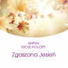 ZESTAW "MOJE KOLORY" Zgaszona Jesień